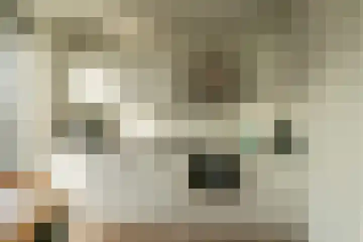 Laauwikstraat 82 A 8 Lent thumbnail 6