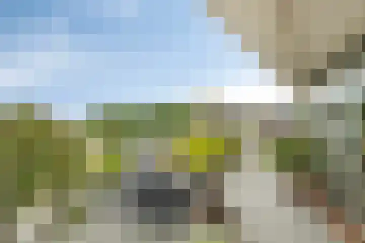 Labradorstroom 43 Huizen thumbnail 23