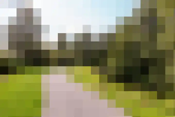 Labradorstroom 43 Huizen thumbnail 4