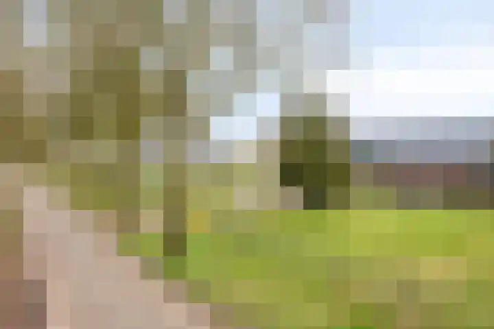 Lactariaweg 30 Stevensbeek thumbnail 13
