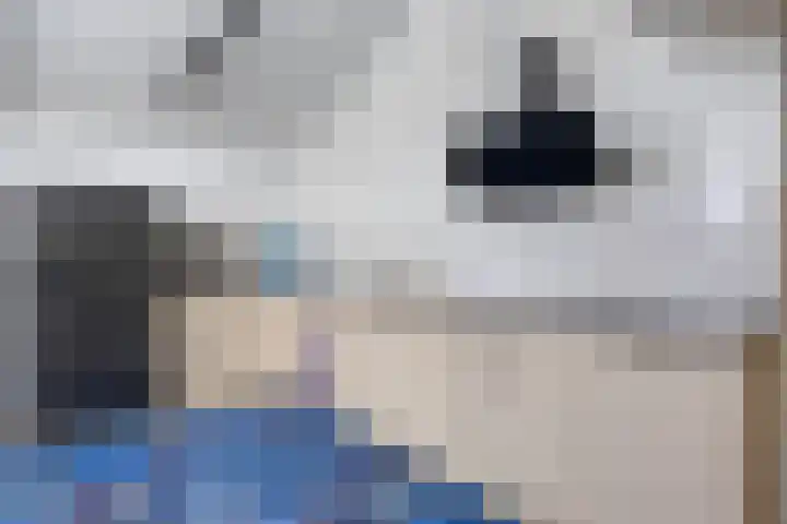 Lactariaweg 30 Stevensbeek thumbnail 27