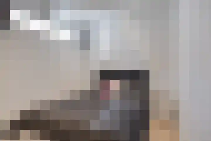 Lactariaweg 30 Stevensbeek thumbnail 33