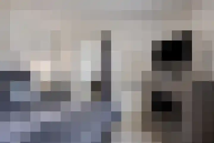 Lactariaweg 30 Stevensbeek thumbnail 43