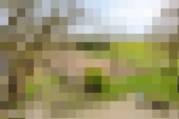 Lactariaweg 30 Stevensbeek thumbnail 5