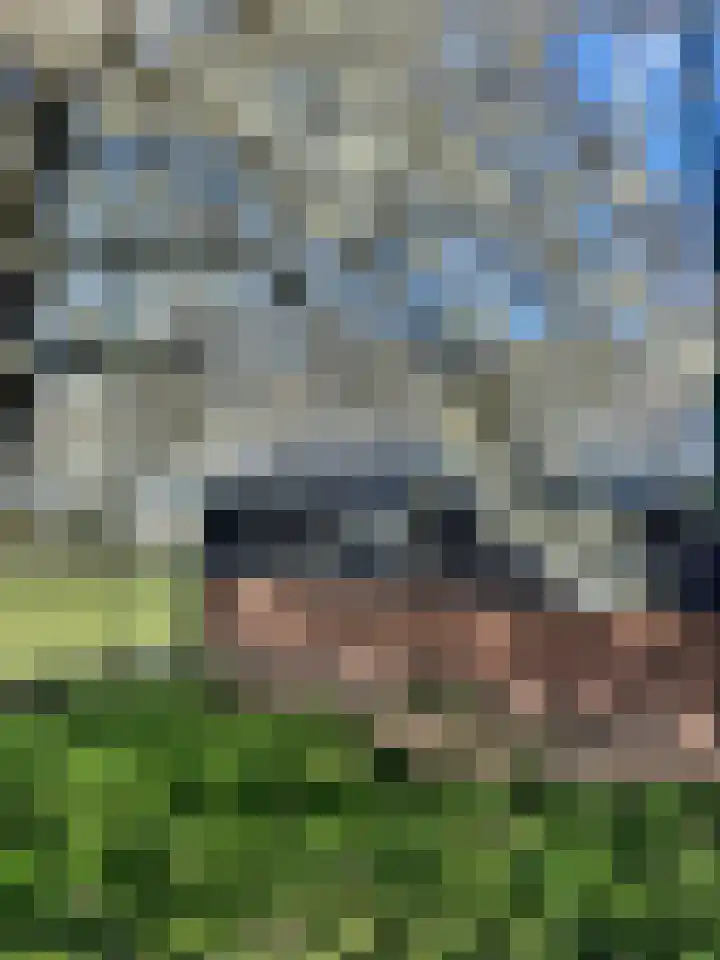 Lactariaweg 30 Stevensbeek thumbnail 65