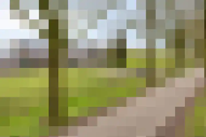 Lactariaweg 30 Stevensbeek thumbnail 9