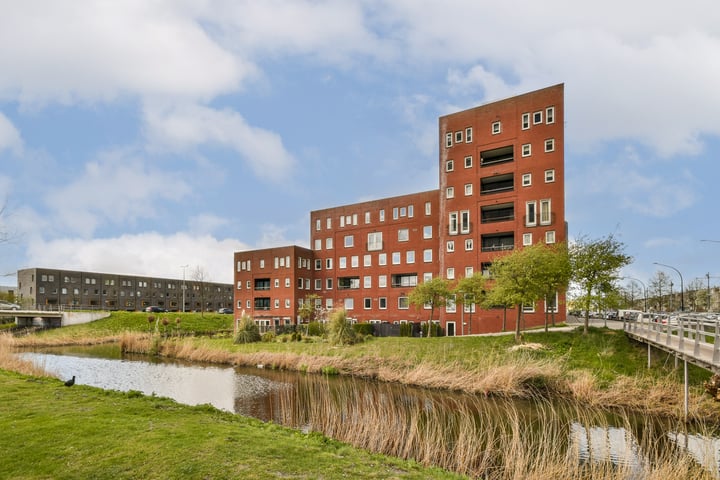 Ladogameerhof 312 in Amsterdam foto