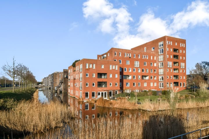 Ladogameerhof 313 in Amsterdam