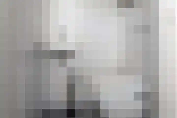 Laene 9 Franeker thumbnail 11