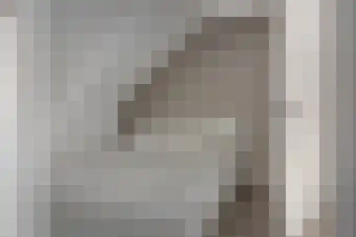 Laene 9 Franeker thumbnail 19