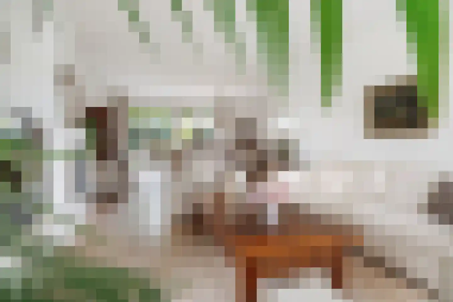 Lage Daalakker 8 Bavel thumbnail 10