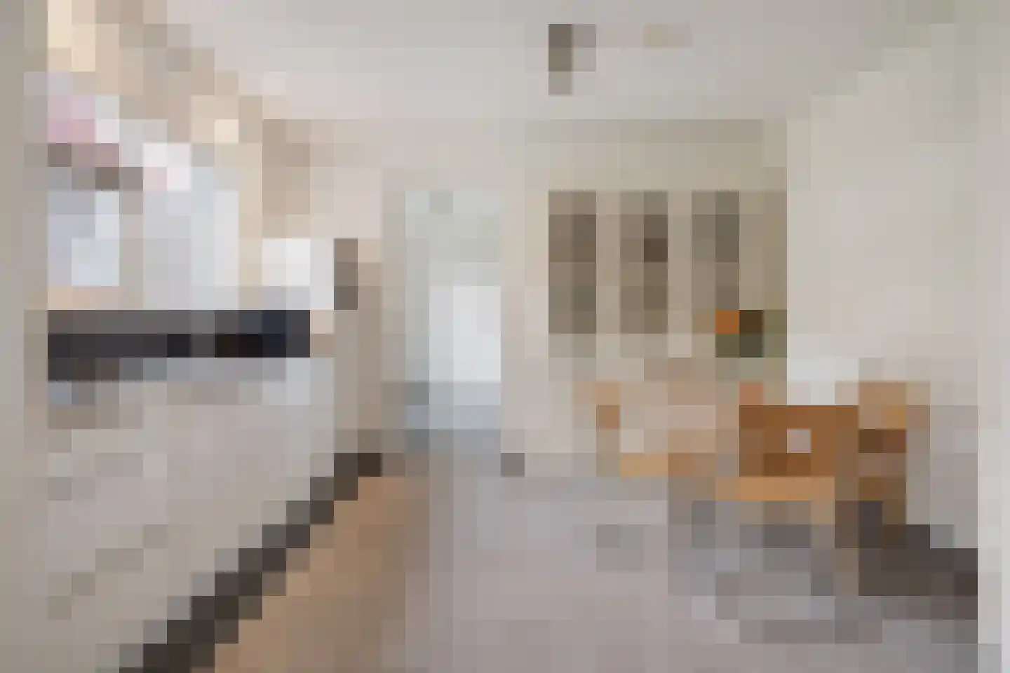 Lage Daalakker 8 Bavel thumbnail 18