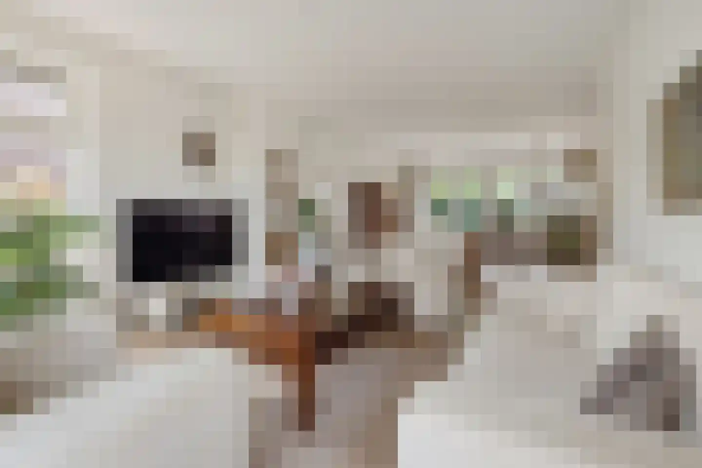 Lage Daalakker 8 Bavel foto 2