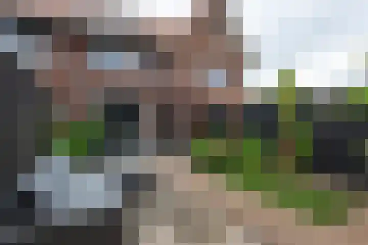Lage Engweg 16 Harskamp thumbnail 26