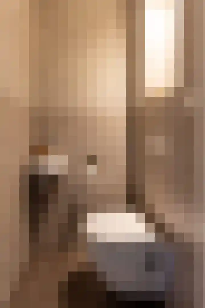 Lage Engweg 16 Harskamp thumbnail 4