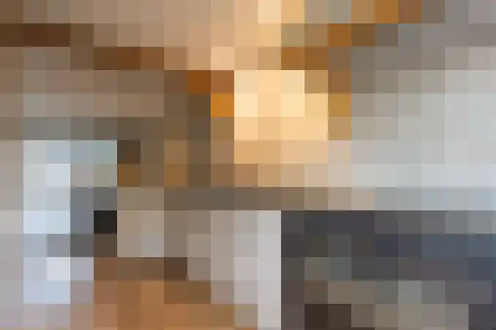 Lage Engweg 16 Harskamp thumbnail 7