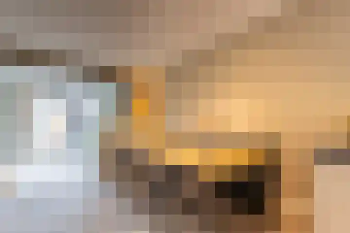 Lage Engweg 16 Harskamp thumbnail 8