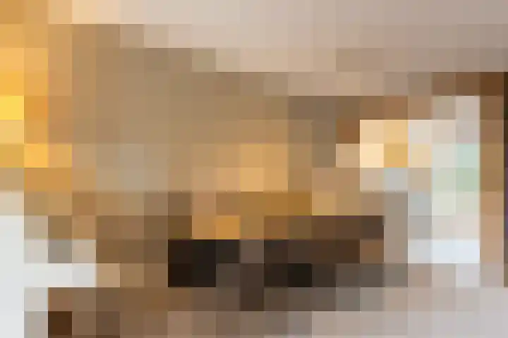 Lage Engweg 16 Harskamp thumbnail 9