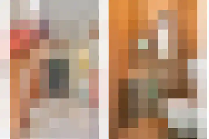 Lage Ham 88 Dongen thumbnail 11