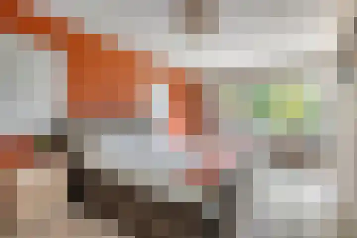 Lage Ham 88 Dongen thumbnail 22