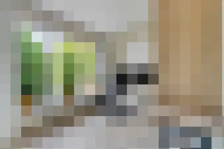 Lage Ham 88 Dongen thumbnail 24