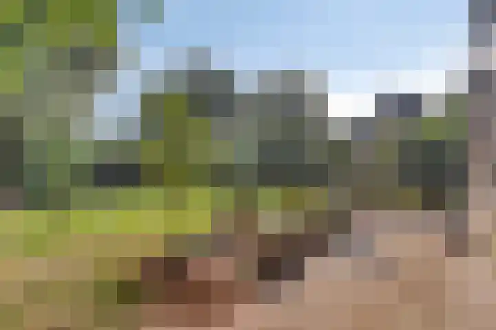 Lage Ham 88 Dongen thumbnail 26