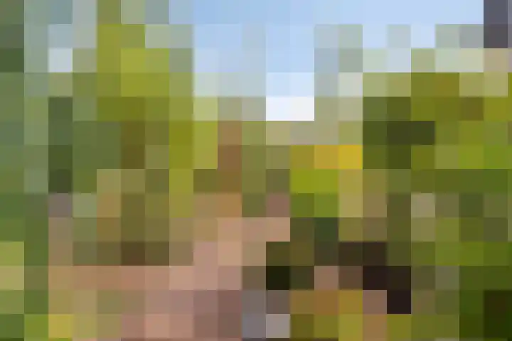 Lage Ham 88 Dongen thumbnail 30