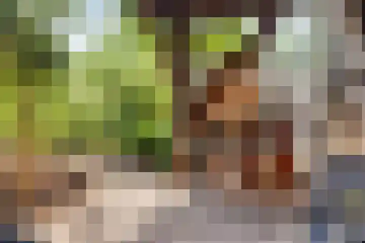 Lage Ham 88 Dongen thumbnail 31
