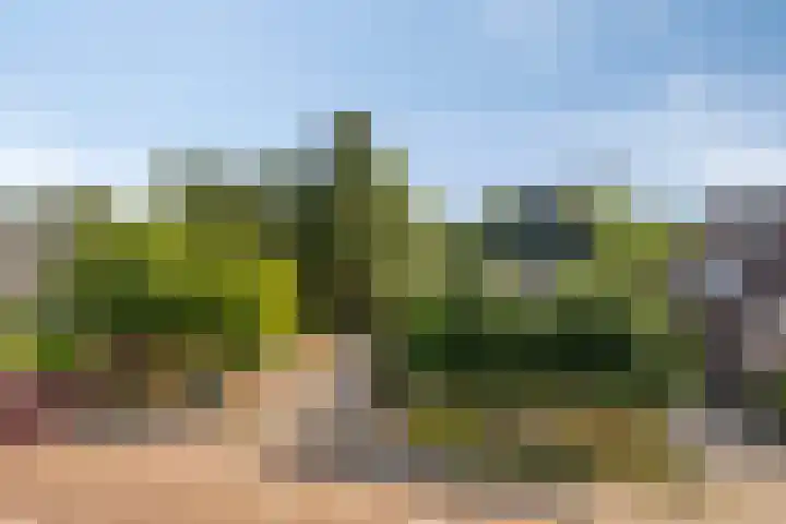 Lage Ham 88 Dongen thumbnail 42
