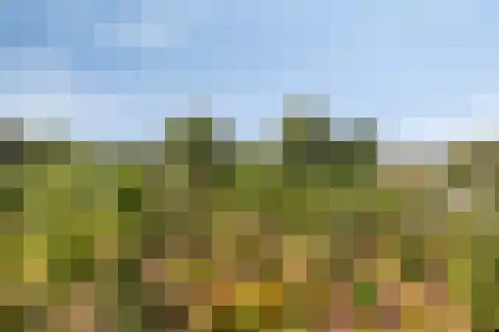 Lage Ham 88 Dongen thumbnail 43