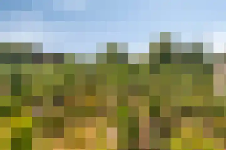 Lage Ham 88 Dongen thumbnail 44