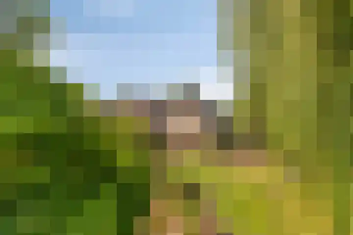 Lage Ham 88 Dongen thumbnail 47