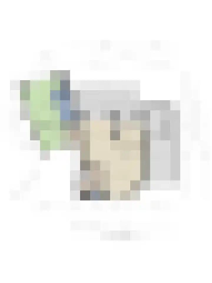 Lage Ham 88 Dongen thumbnail 48