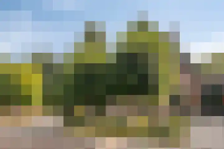 Lage Ham 88 Dongen thumbnail 7