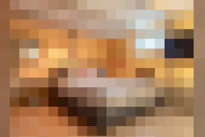 Lage Horn 20 Zaandam thumbnail 12