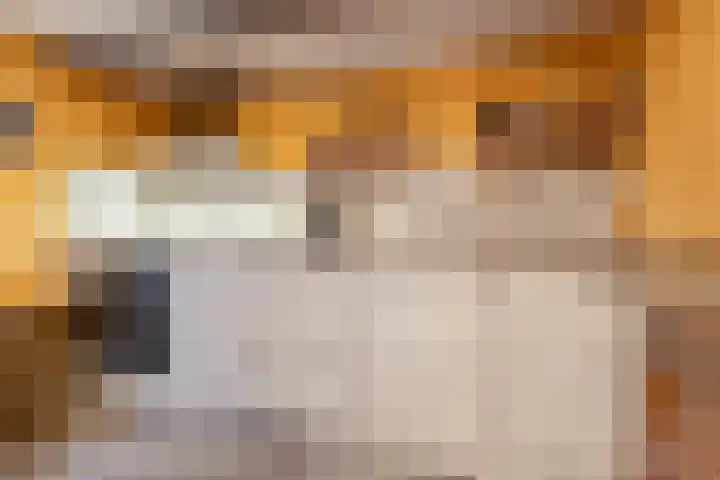 Lage Horn 20 Zaandam thumbnail 8