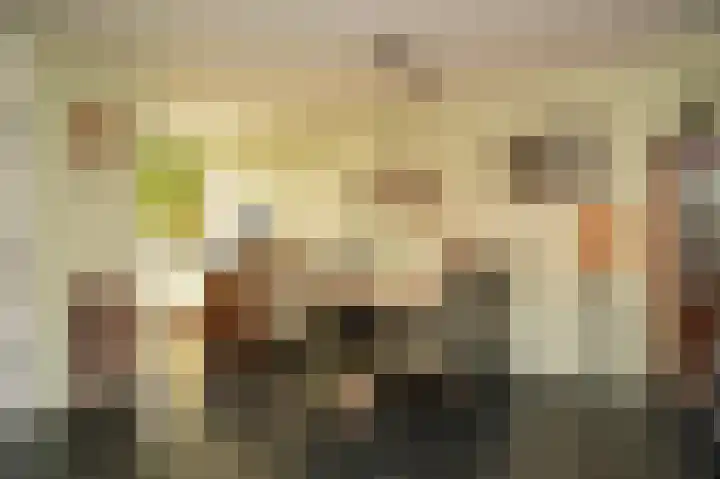Lage Huis 14 Beesd thumbnail 12