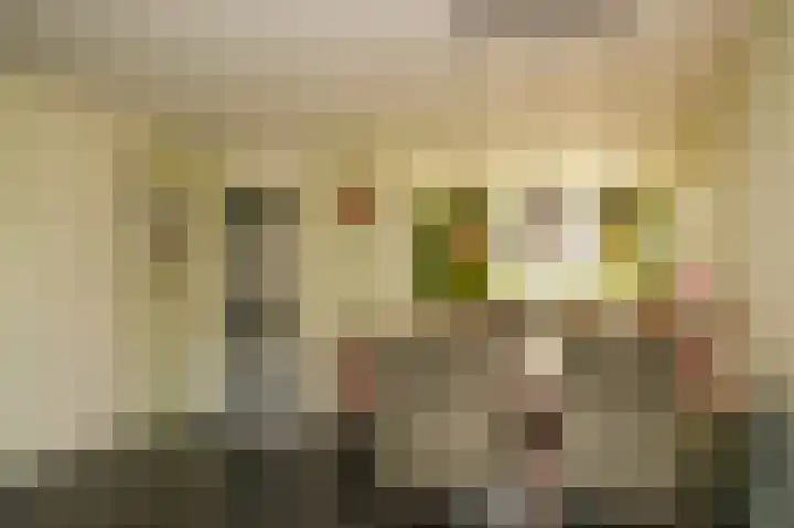 Lage Huis 14 Beesd thumbnail 13