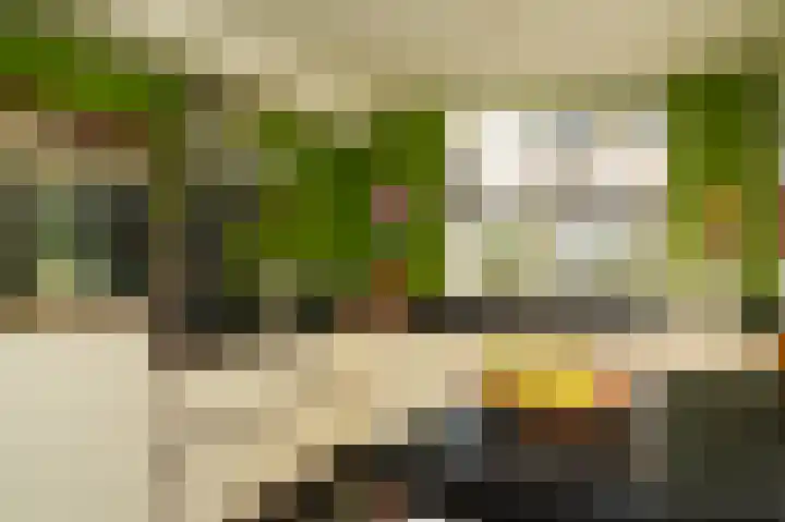 Lage Huis 14 Beesd thumbnail 14