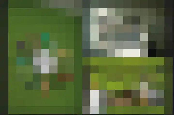 Lage Huis 14 Beesd thumbnail 15