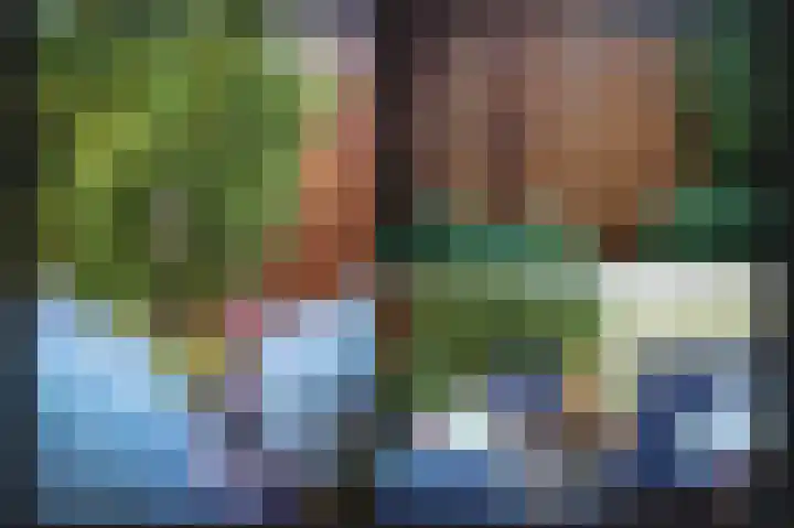 Lage Huis 14 Beesd thumbnail 27