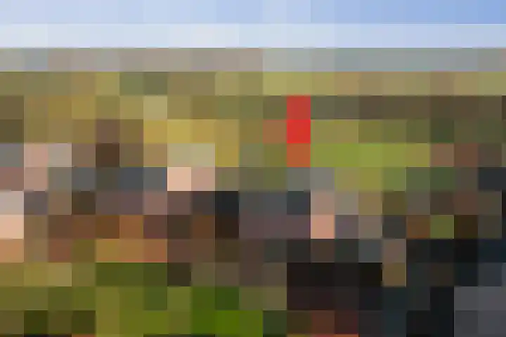Lage kamp 15 Terwolde