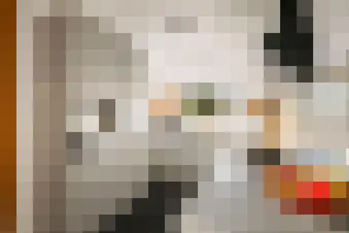 Lage kamp 15 Terwolde thumbnail 13