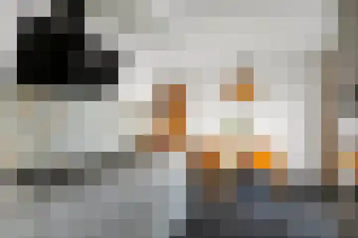 Lage kamp 15 Terwolde thumbnail 15