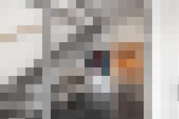 Lage kamp 15 Terwolde thumbnail 17