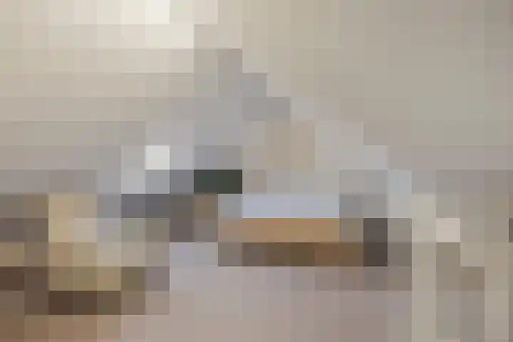Lage kamp 15 Terwolde thumbnail 32