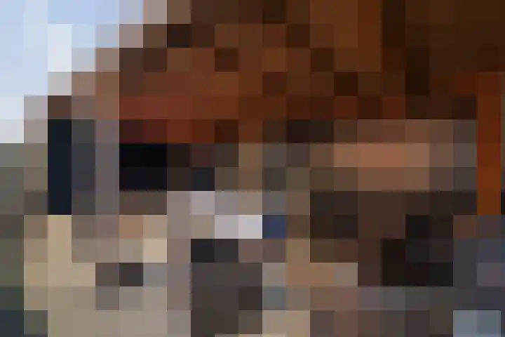 Lage kamp 15 Terwolde thumbnail 35