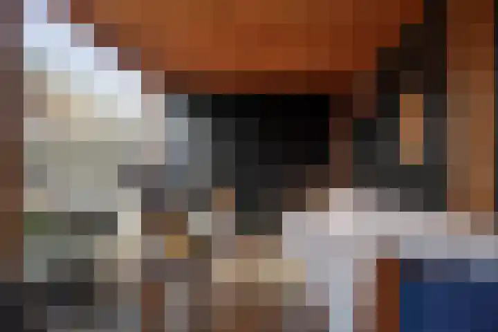 Lage kamp 15 Terwolde thumbnail 36