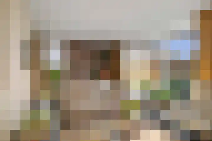 Lage kamp 15 Terwolde thumbnail 4