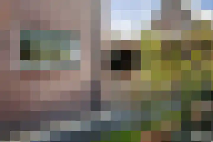 Lage kamp 15 Terwolde thumbnail 42